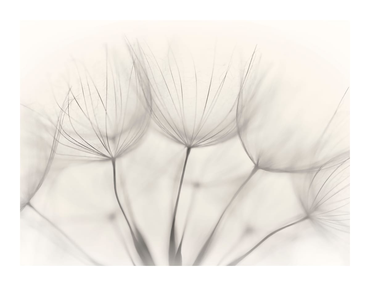 variant-27x35_with-margin