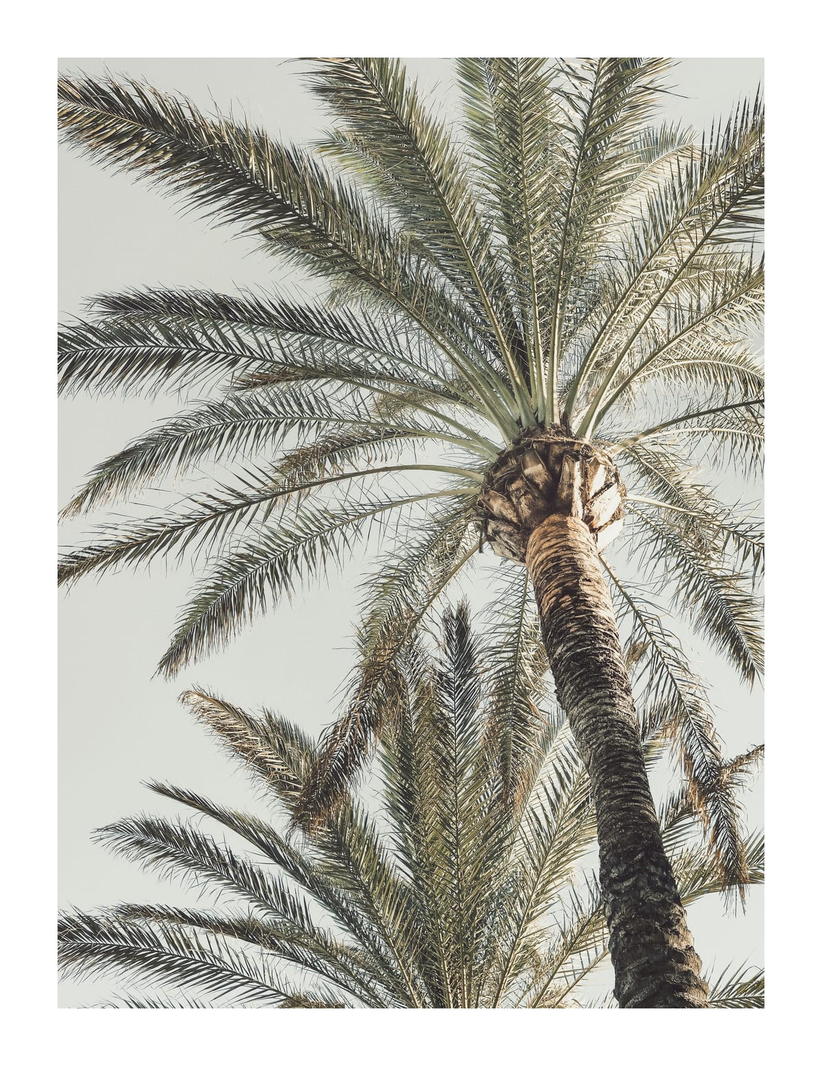 variant-27x35_with-margin