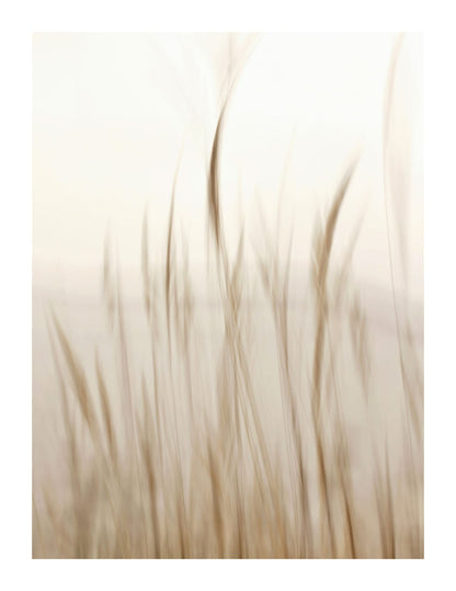 variant-27x35_with-margin