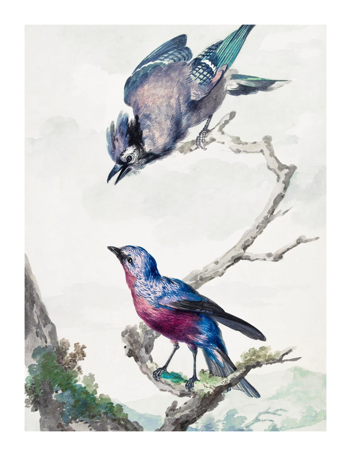 variant-27x35_with-margin