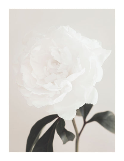 variant-27x35_with-margin