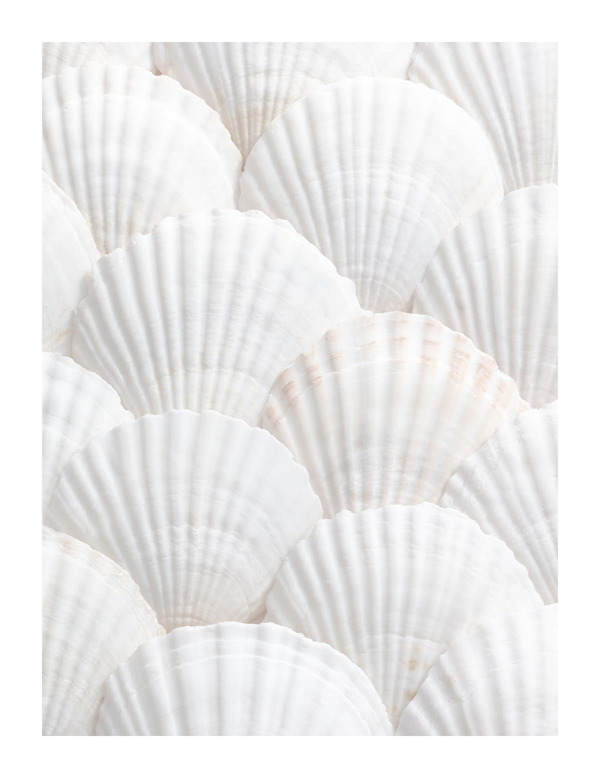 variant-27x35_with-margin