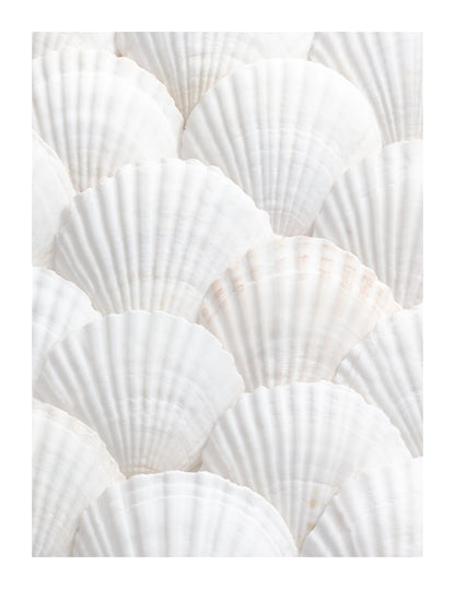 variant-27x35_with-margin