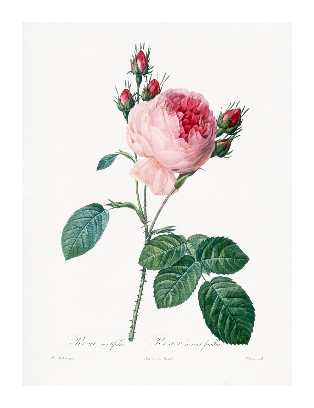 variant-27x35_with-margin