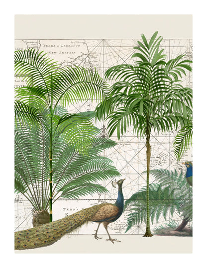 variant-27x35_with-margin