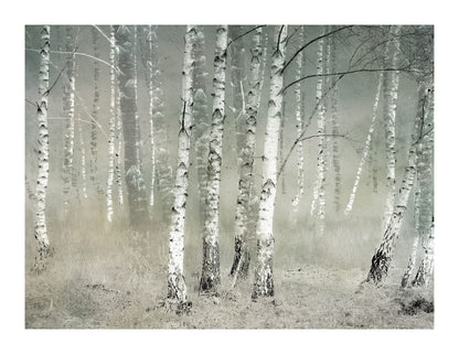 variant-27x35_with-margin