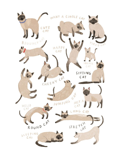 variant-27x35_with-margin