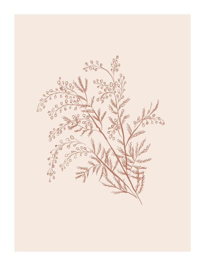 variant-27x35_with-margin