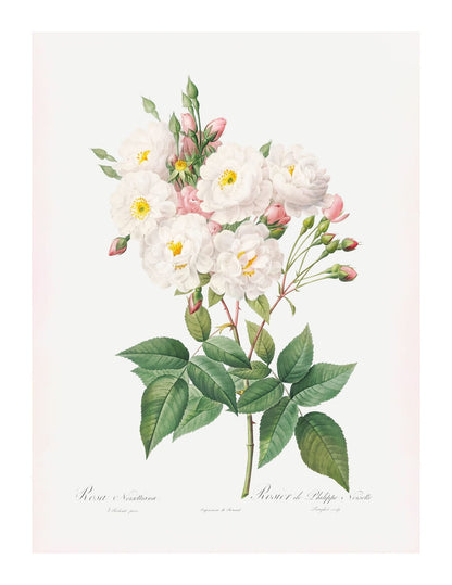 variant-27x35_with-margin