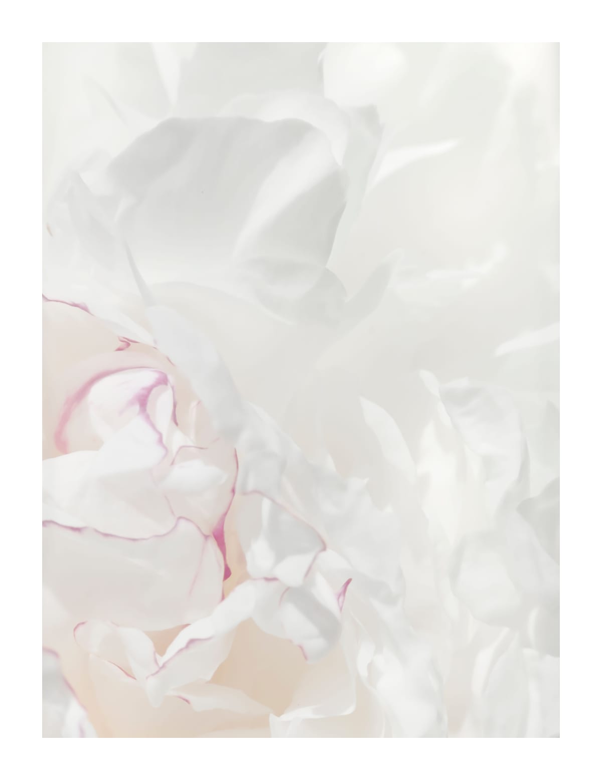 variant-27x35_with-margin
