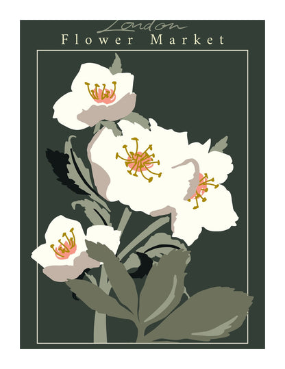 variant-27x35_with-margin