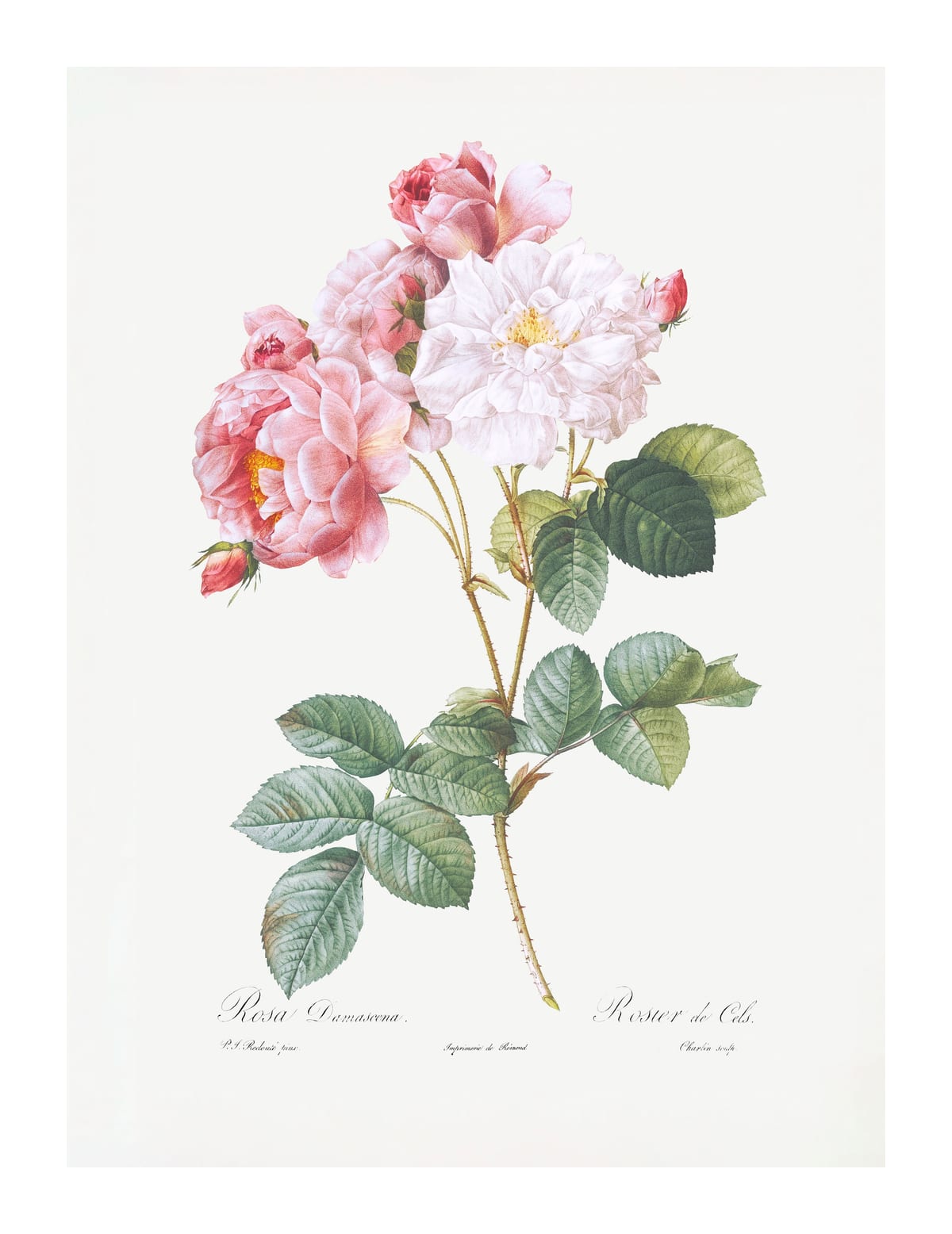 variant-27x35_with-margin