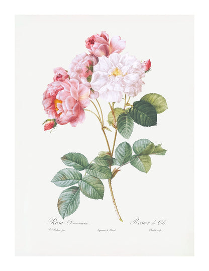 variant-27x35_with-margin