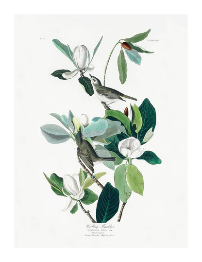 variant-27x35_with-margin