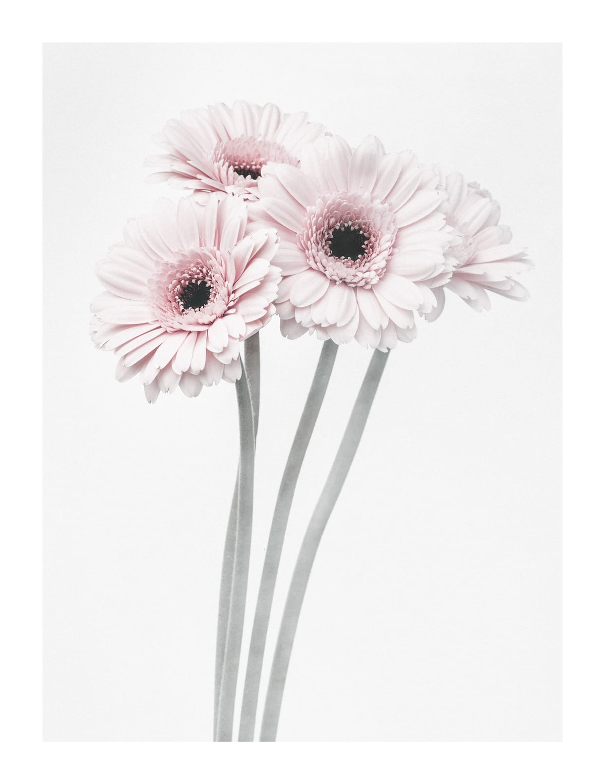 variant-27x35_with-margin