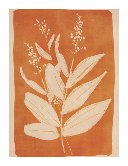 variant-27x35_with-margin