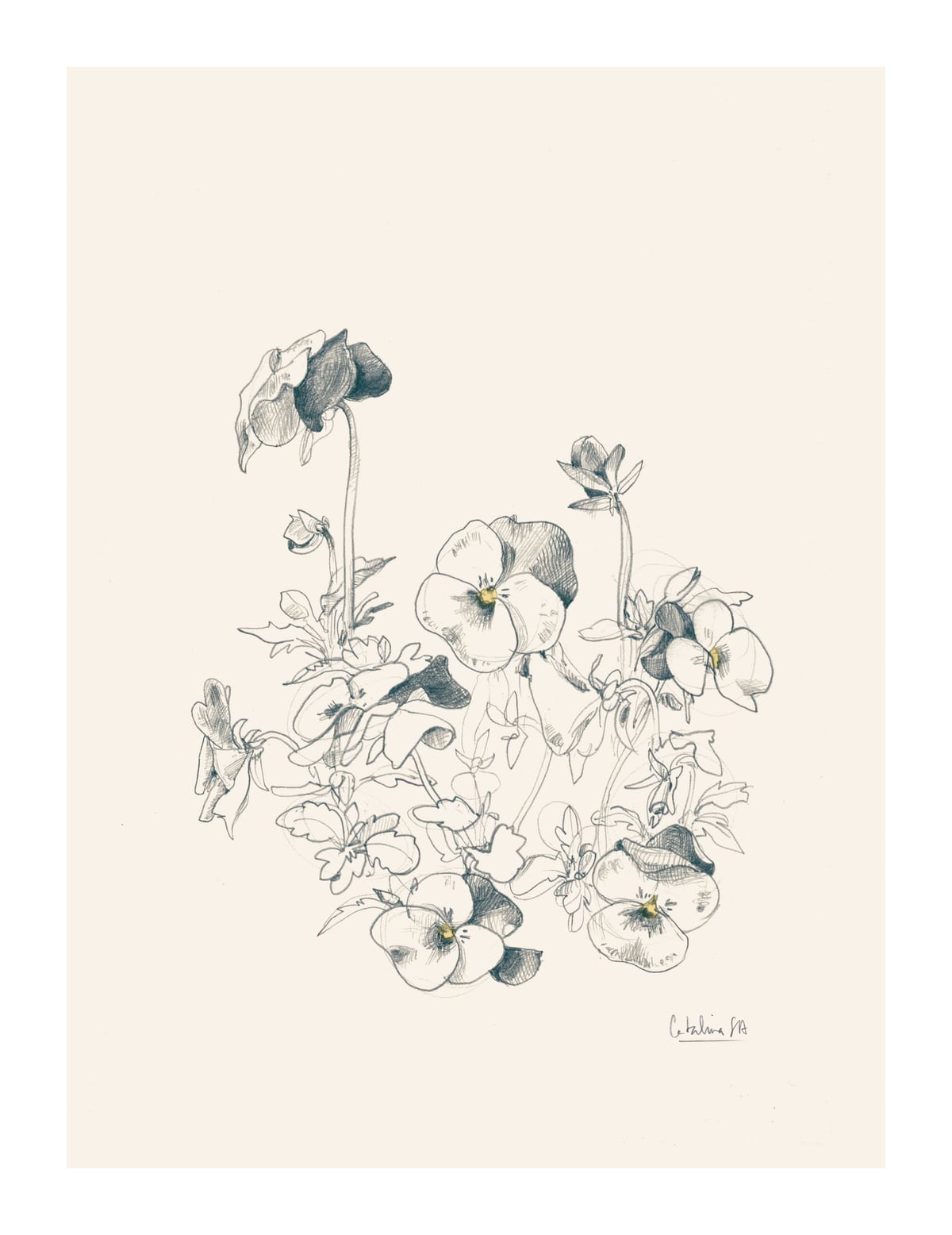 variant-27x35_with-margin