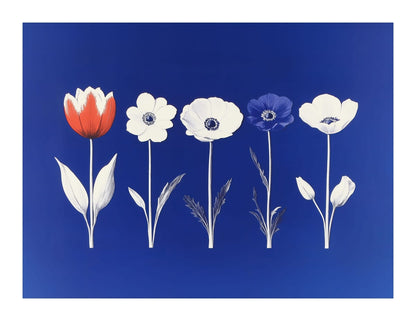 variant-27x35_with-margin