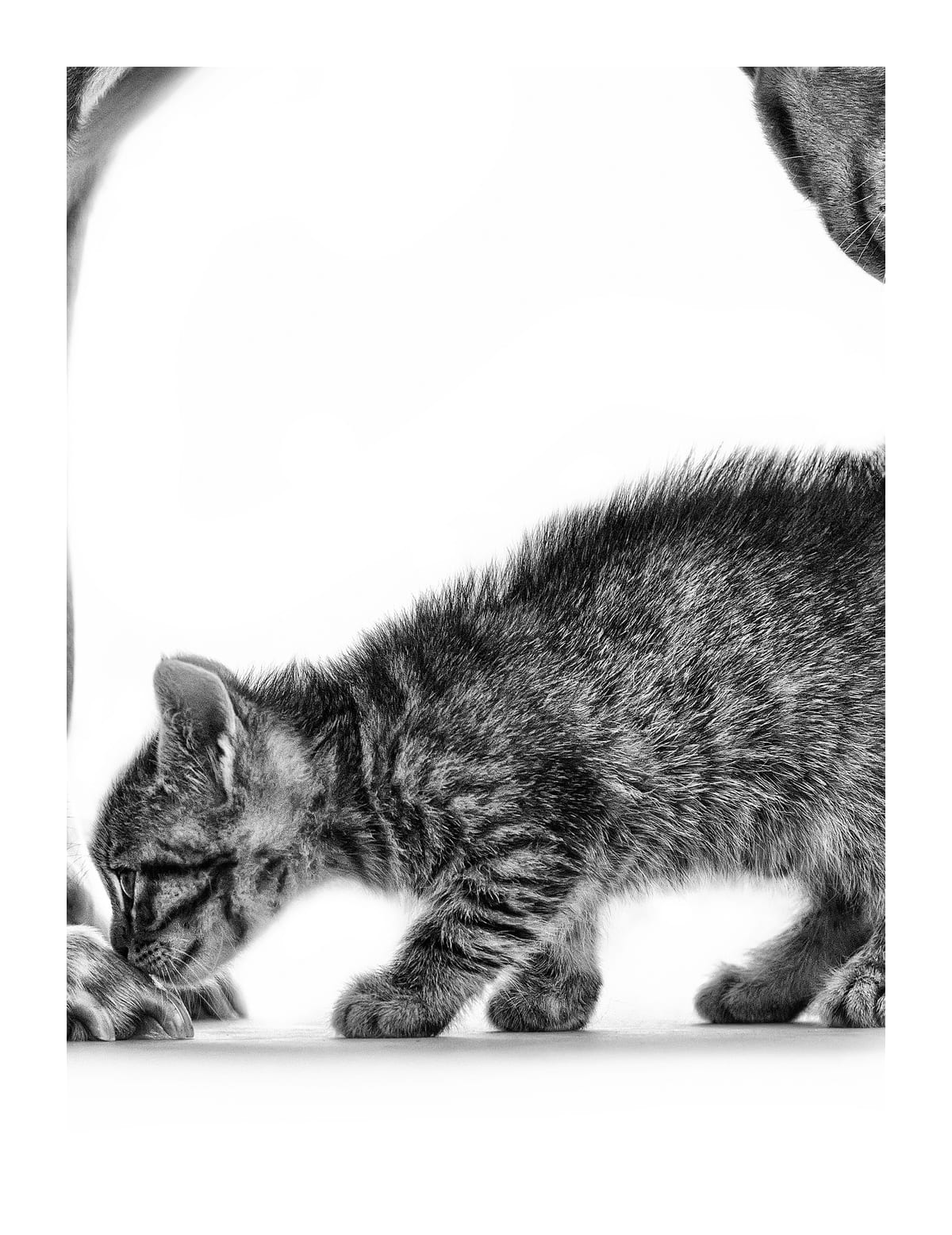 variant-27x35_with-margin