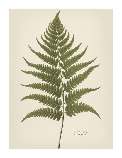 variant-27x35_with-margin