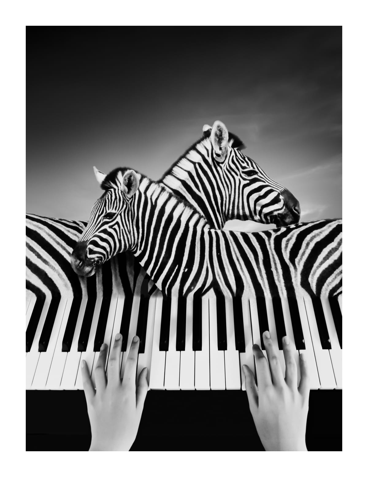 variant-27x35_with-margin