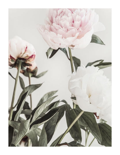 variant-27x35_with-margin