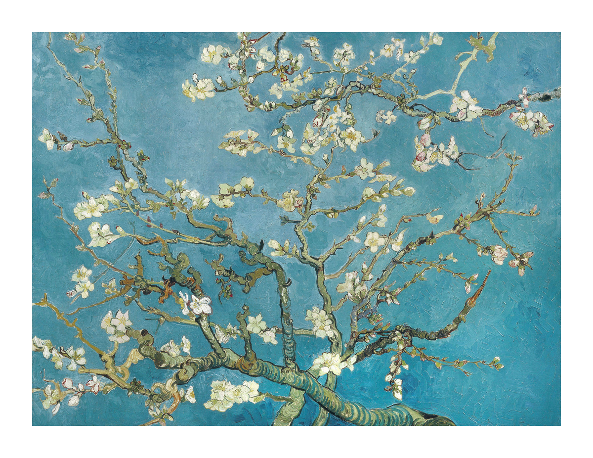 variant-27x35_with-margin