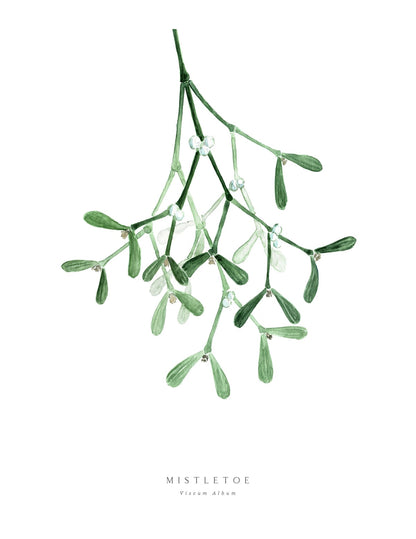 variant-27x35_with-margin