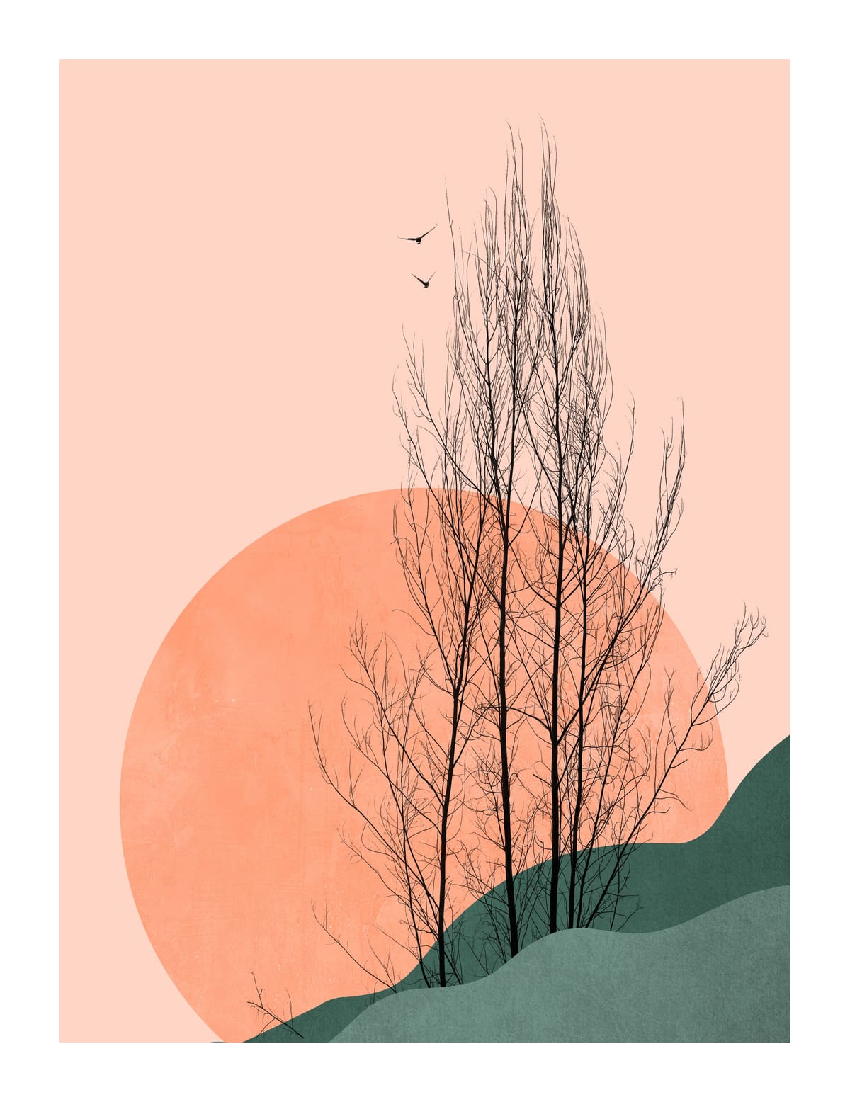 variant-27x35_with-margin