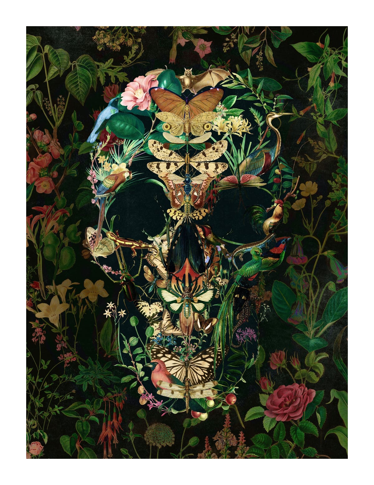 variant-27x35_with-margin