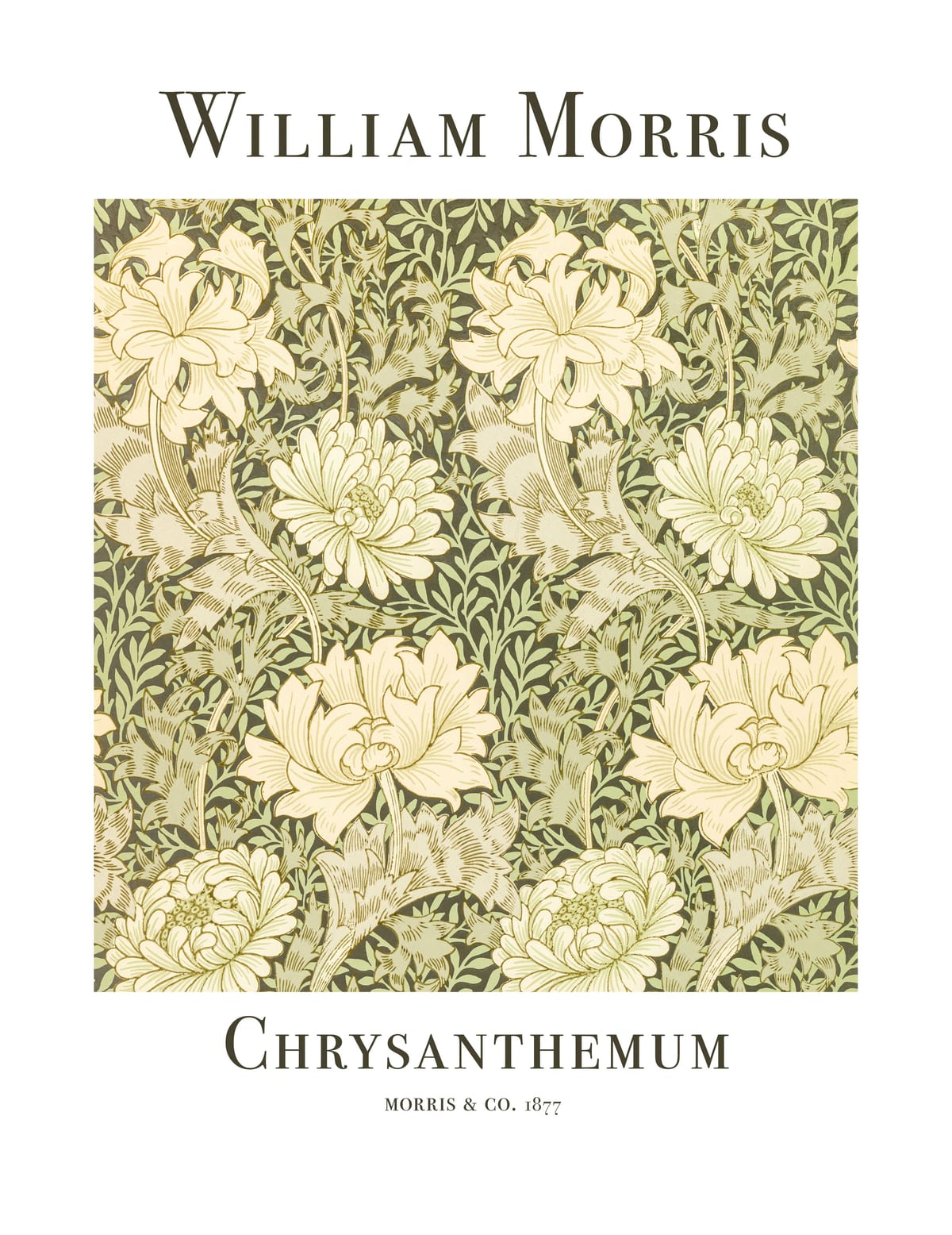 variant-27x35_with-margin