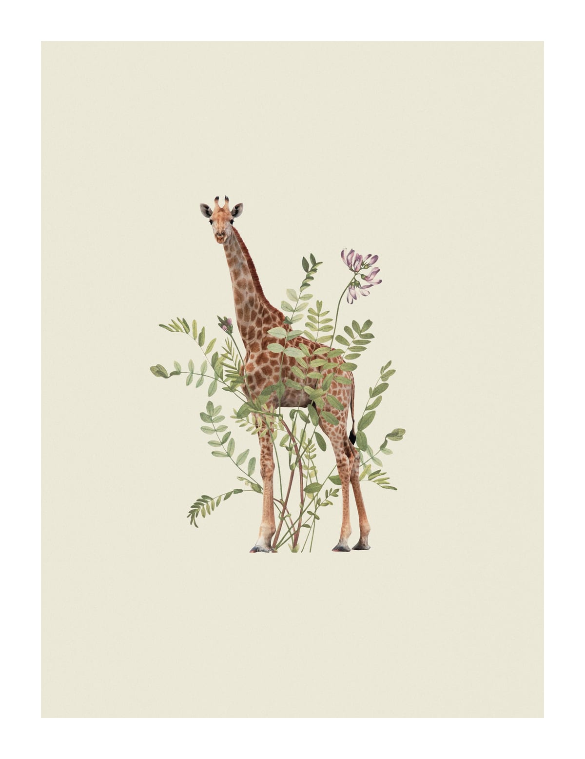 variant-27x35_with-margin