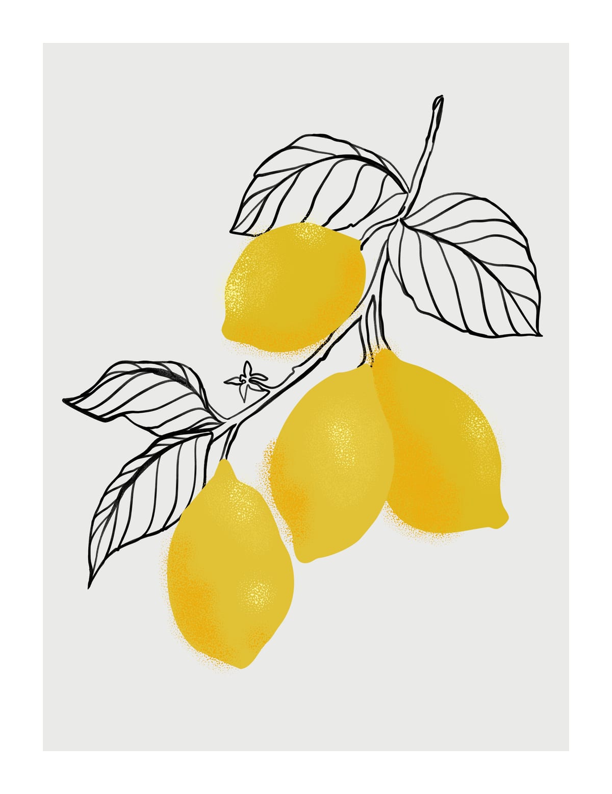 variant-27x35_with-margin