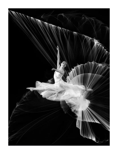 variant-27x35_with-margin