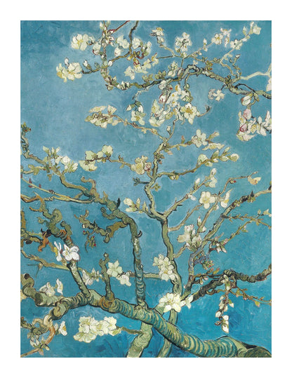 variant-27x35_with-margin