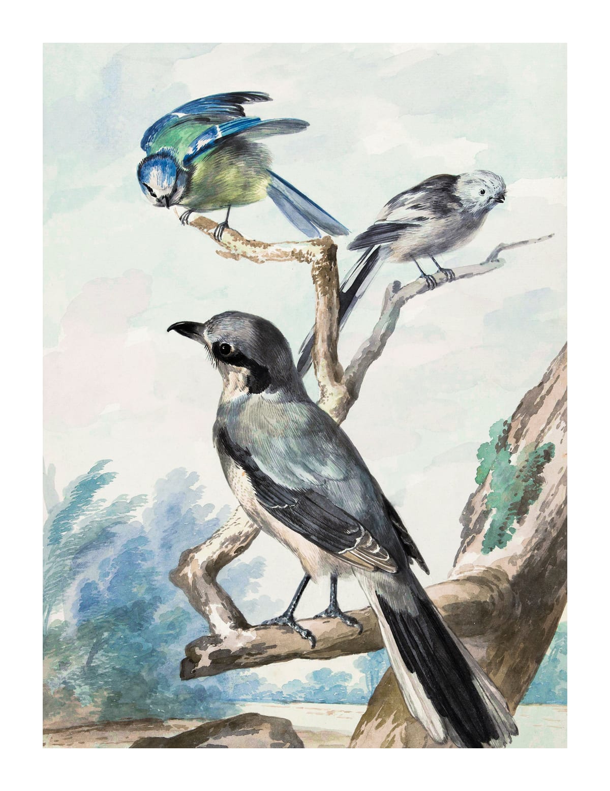 variant-27x35_with-margin