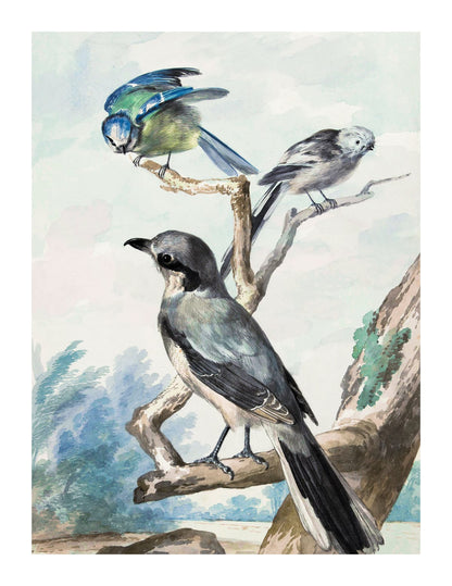variant-27x35_with-margin