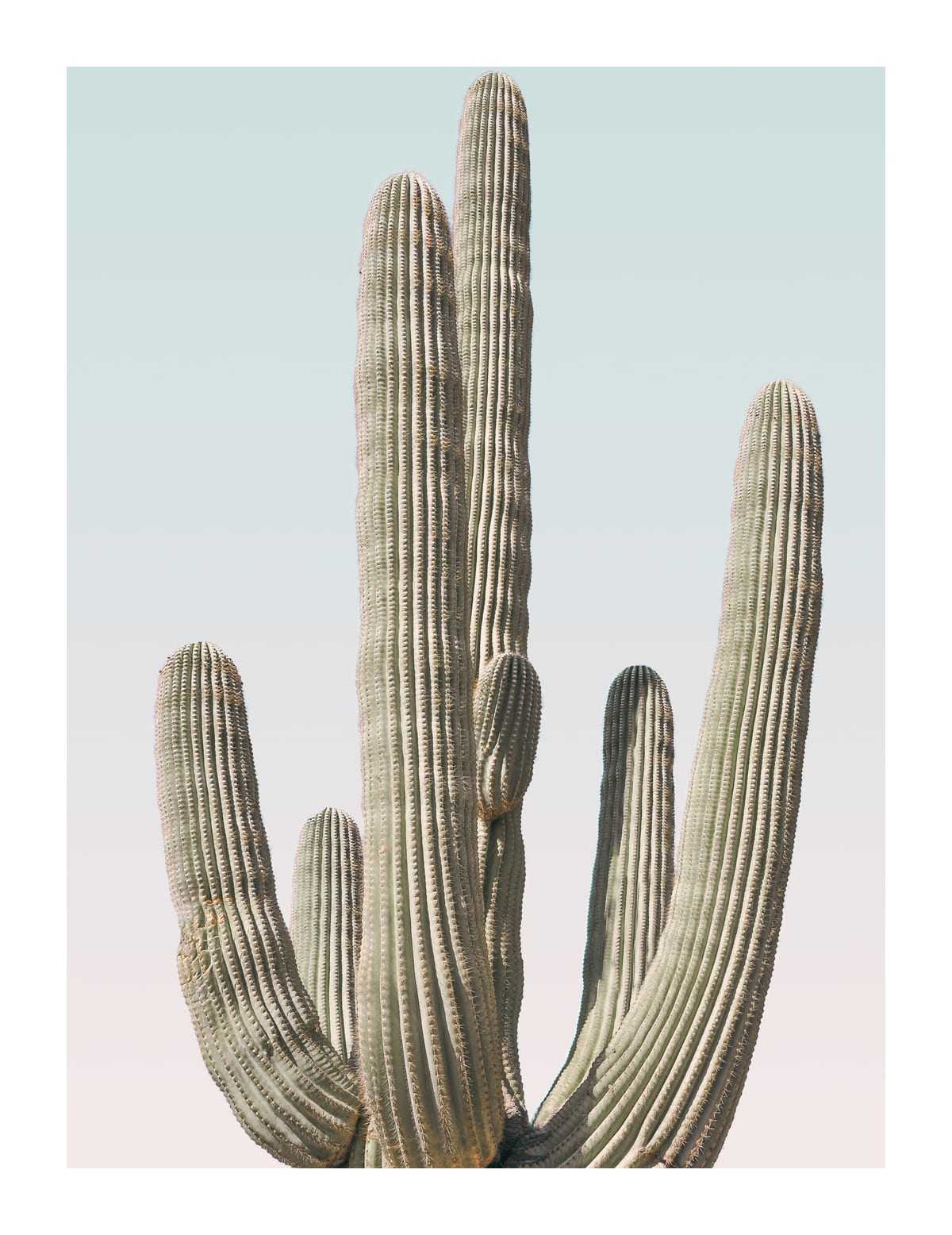 variant-27x35_with-margin
