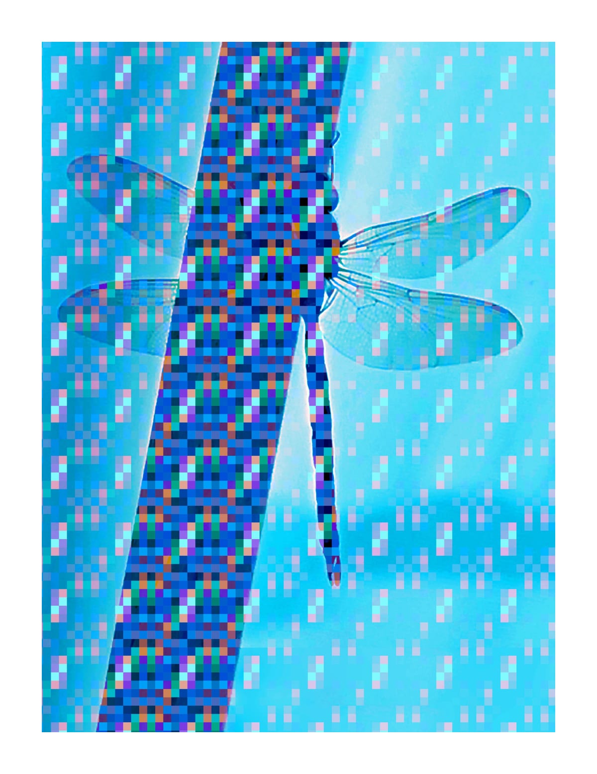 variant-27x35_with-margin