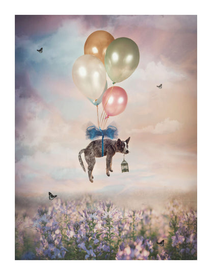 variant-27x35_with-margin