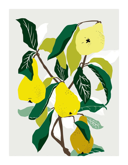 variant-27x35_with-margin