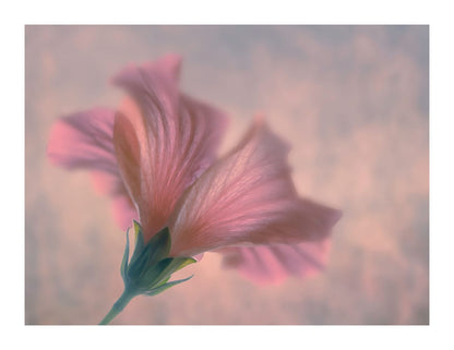 variant-27x35_with-margin