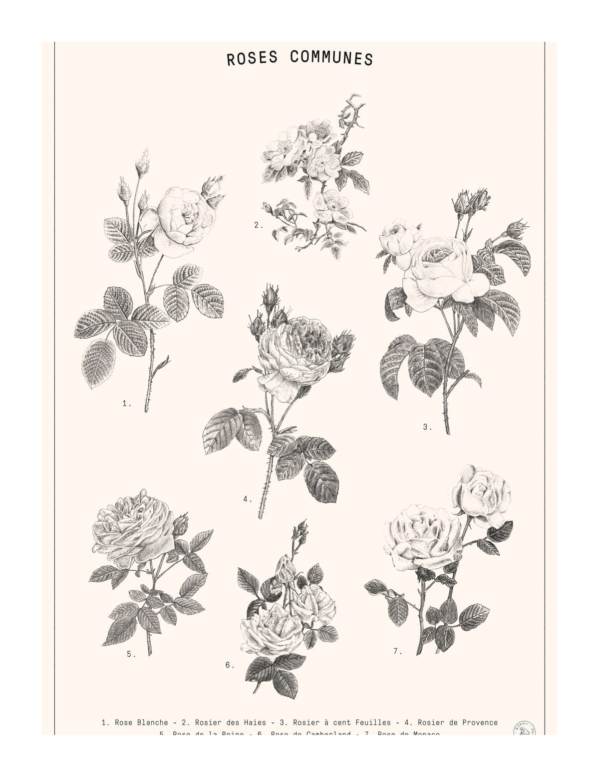 variant-27x35_with-margin