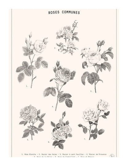 variant-27x35_with-margin