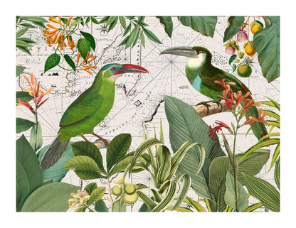 variant-27x35_with-margin