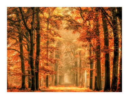 variant-27x35_with-margin