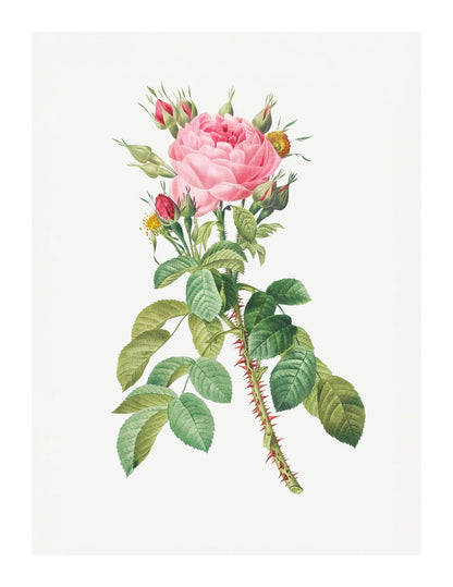 variant-27x35_with-margin