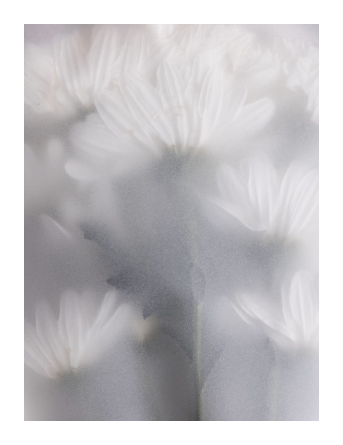variant-27x35_with-margin