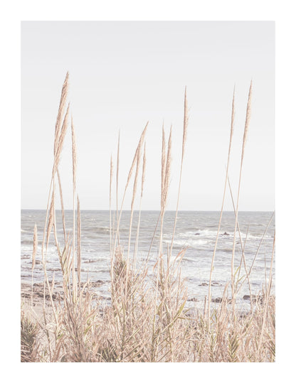 variant-27x35_with-margin