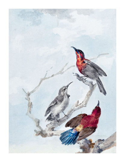 variant-27x35_with-margin